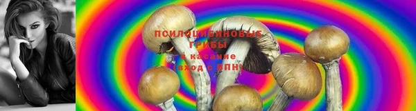 МДМА Верея