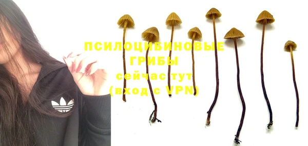 МДМА Верхний Тагил