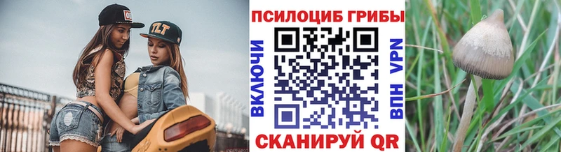 Псилоцибиновые грибы MAGIC MUSHROOMS  как найти   Елабуга 