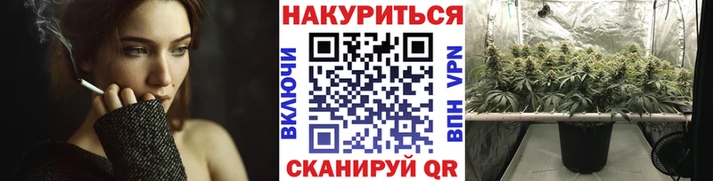 МАРИХУАНА ГИДРОПОН  купить   Елабуга 
